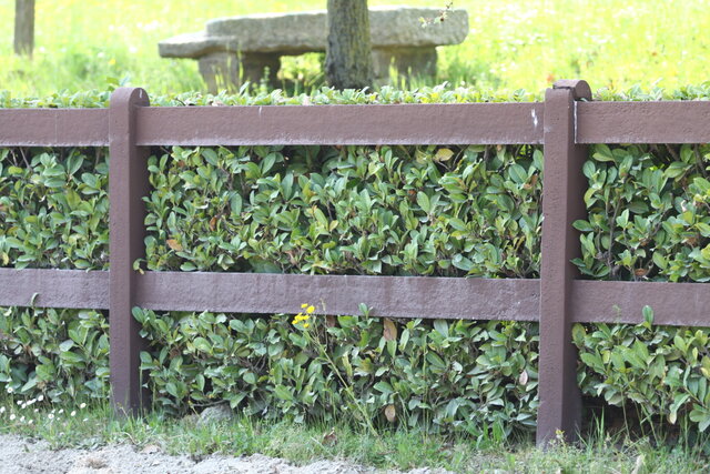 Installazione professionale recinzione